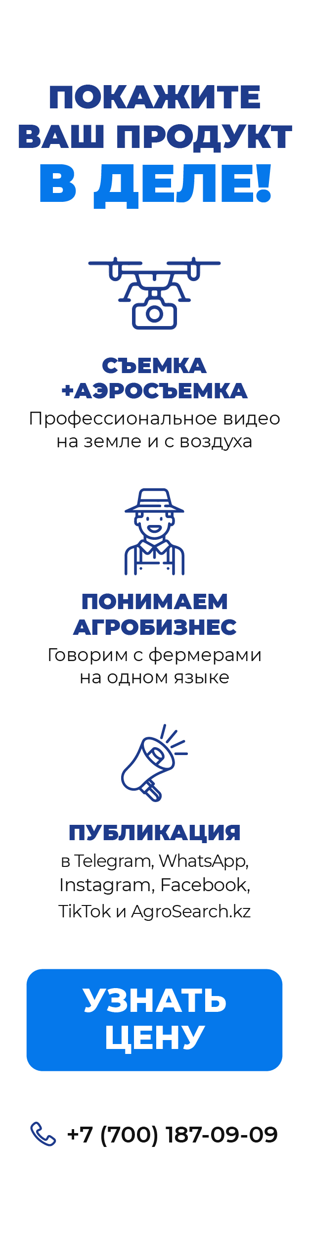 right banner